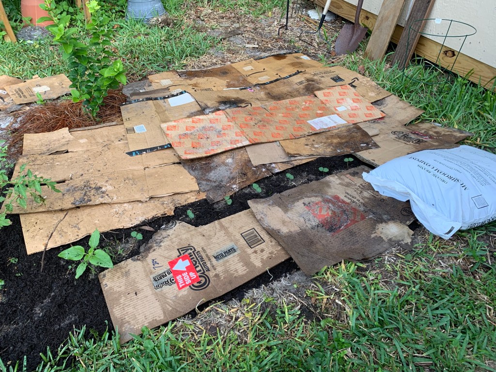 cardboard boxes in the garden