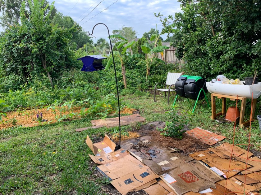 cardboard in the garden