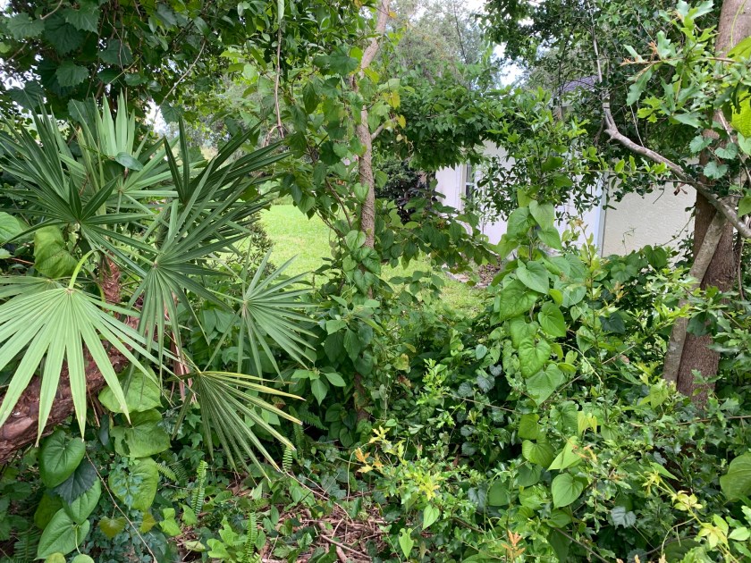 June growth blocks house view