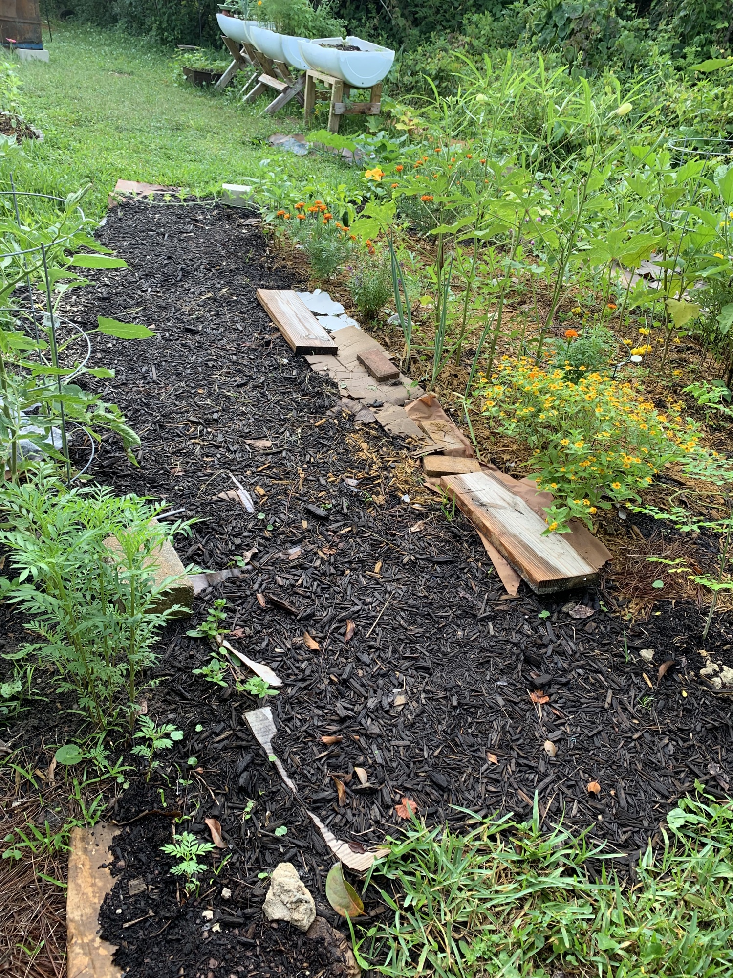 mulched garden path