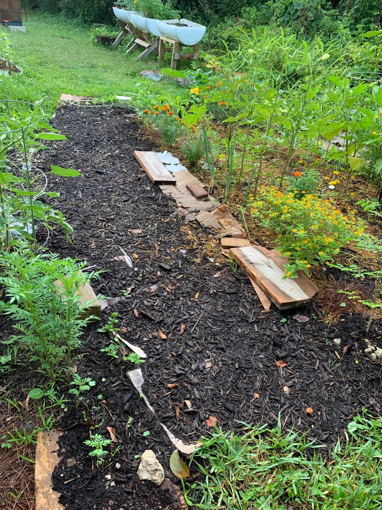 mulched garden path