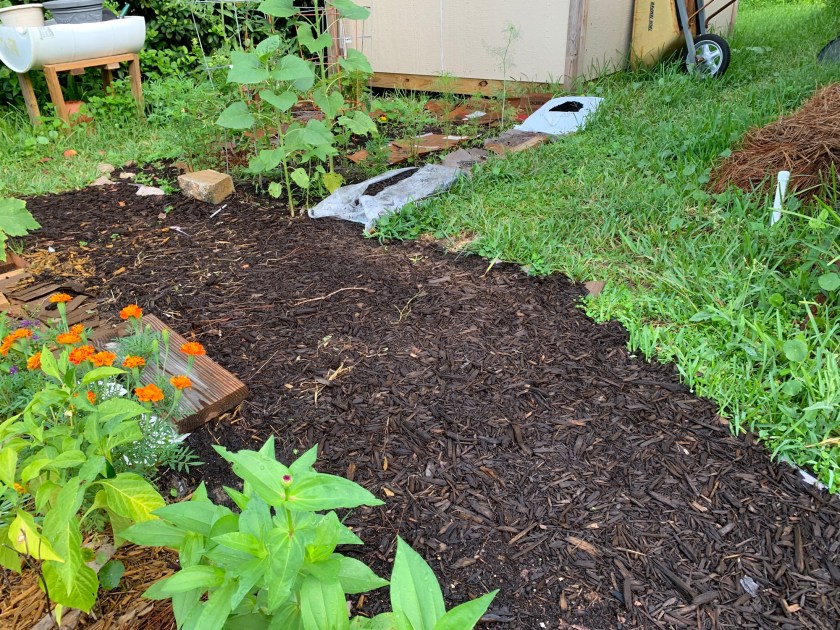 mulched garden path