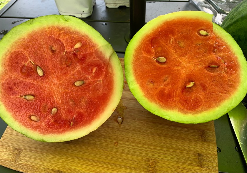 inside the watermelon