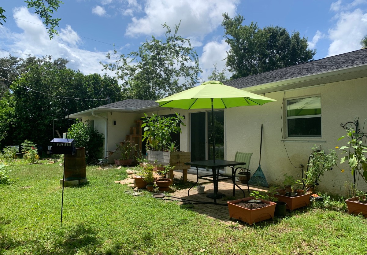 The Year I Began The&nbsp;Gardens