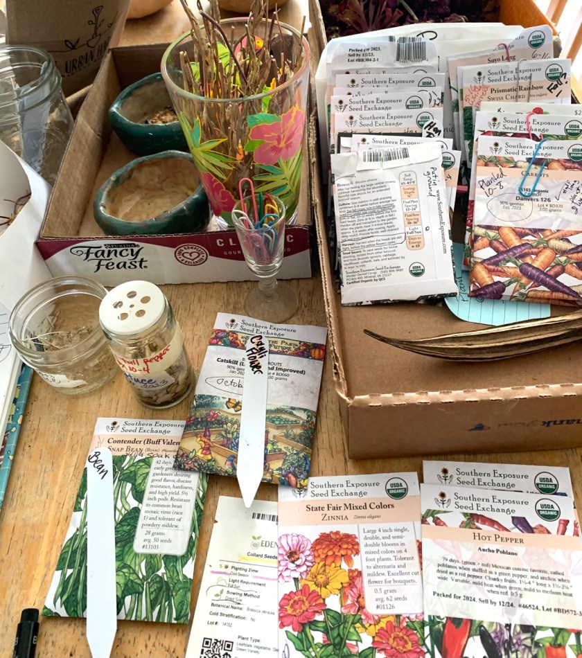 garden seed packets planning