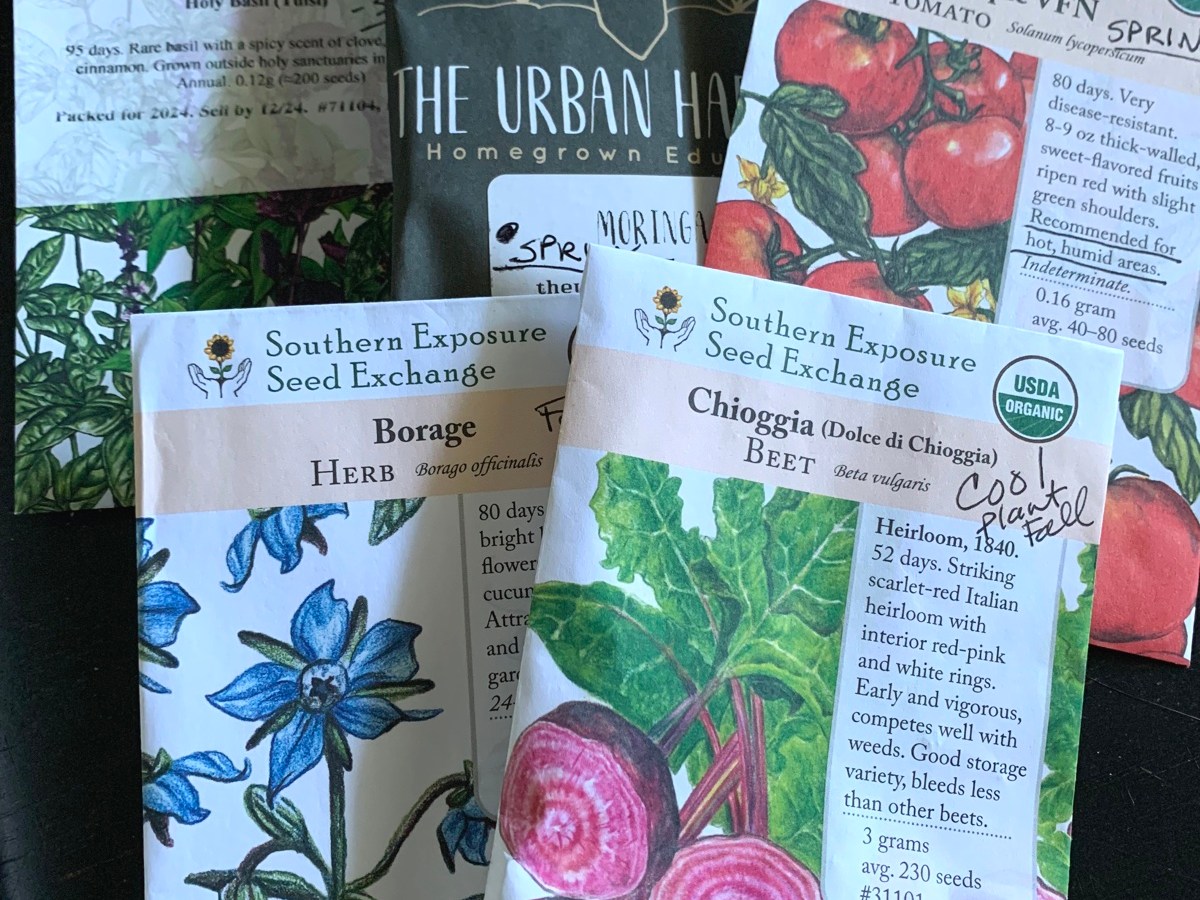 Ordering Seeds For Florida Fall&nbsp;Planting