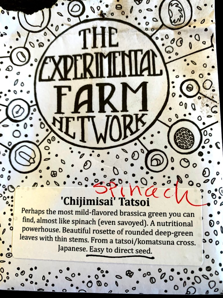 seed packet Chijimisai