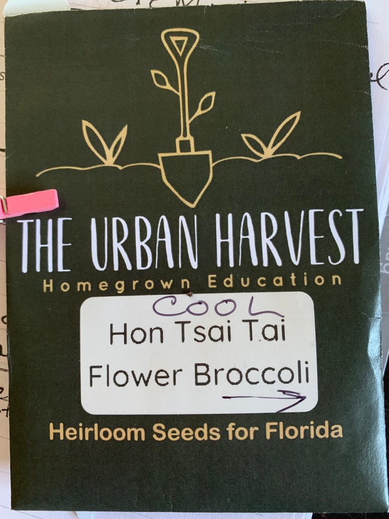 Hon Tsai broccoli seed packet