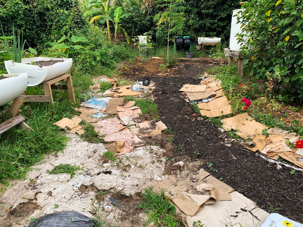 cardboard ground cover