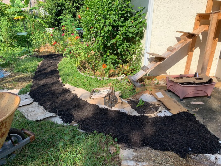 black mulch walkway