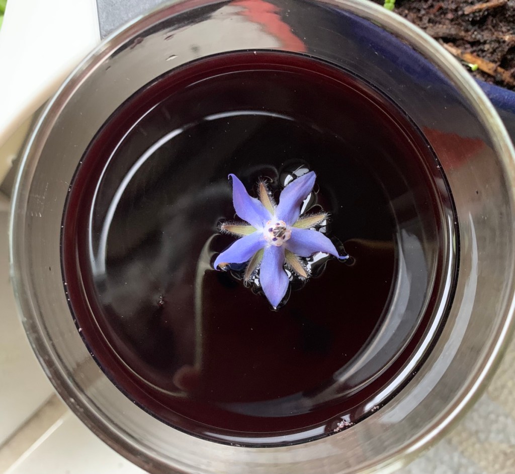borage flower in wine