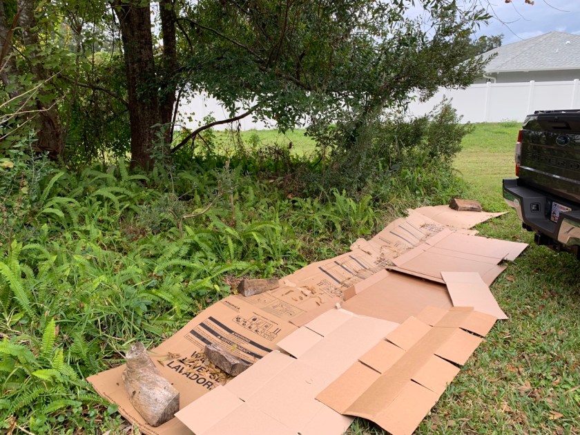 cardboard spread on grass