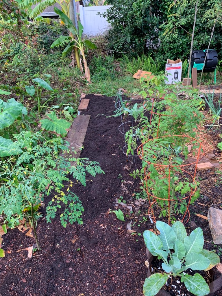 December garden Florida