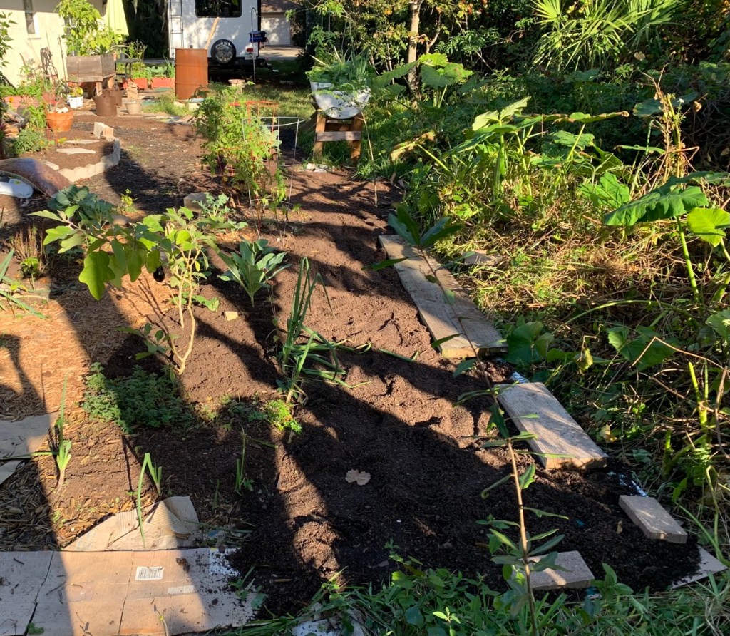 vegetable garden winter