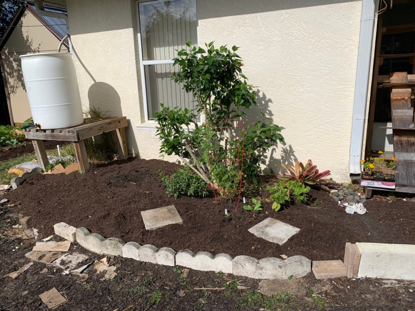 hibiscus flower garden building