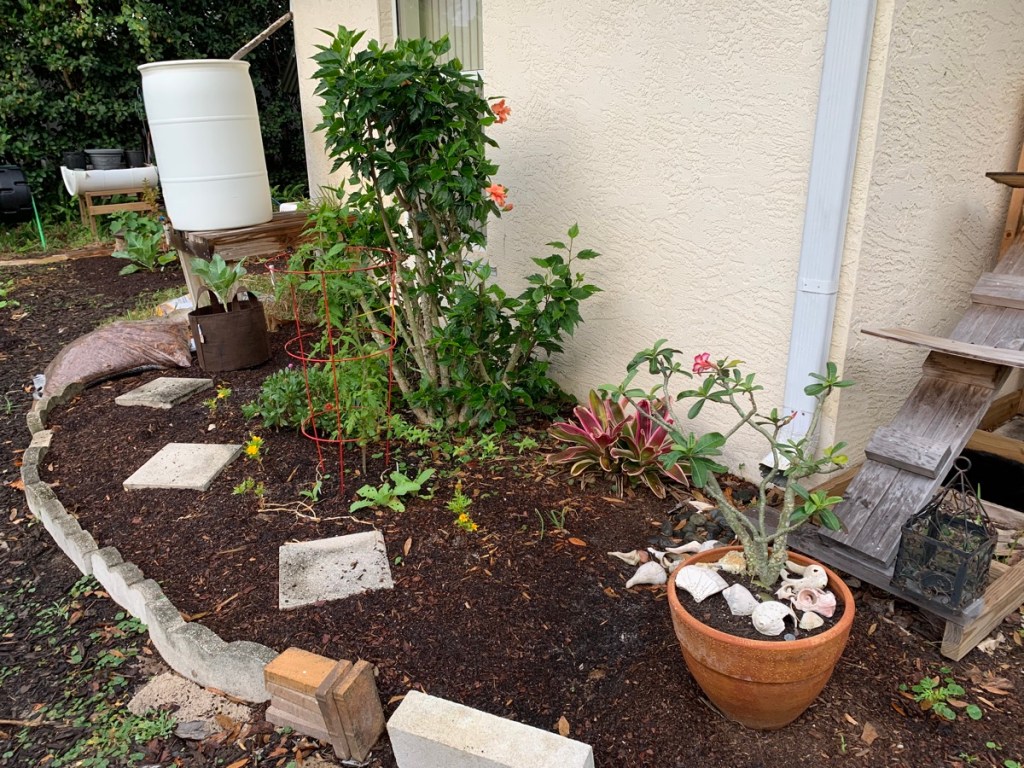 Winter flower garden florida