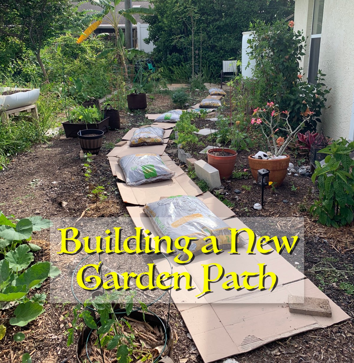 header building a new garden path