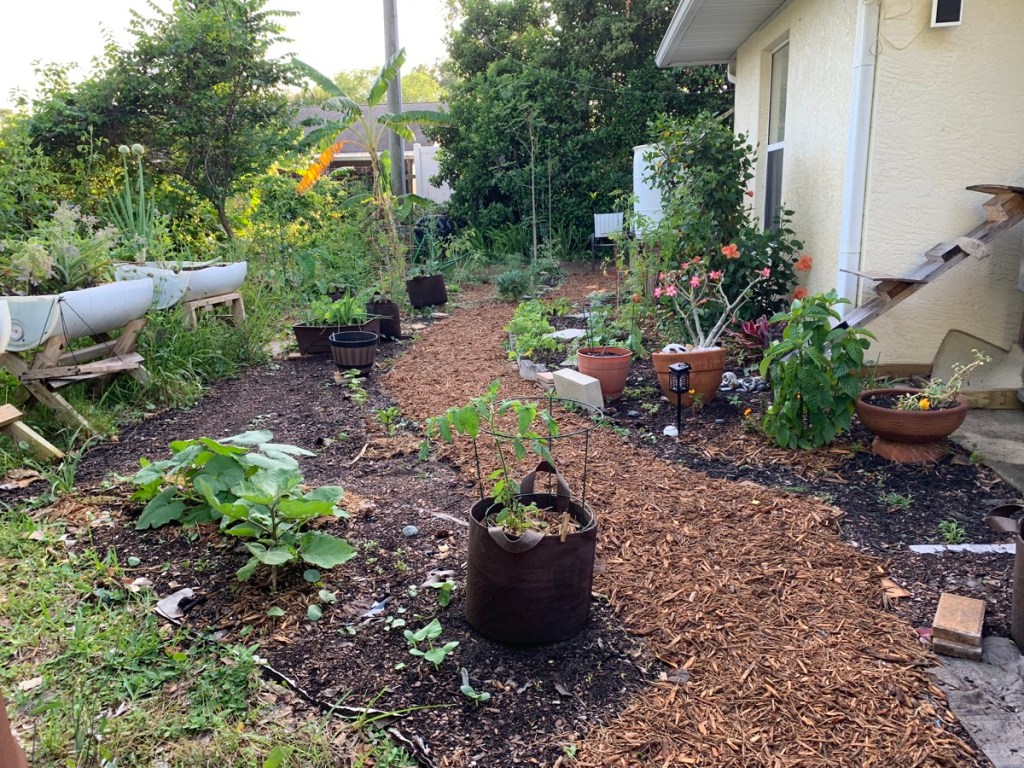 mulch garden path