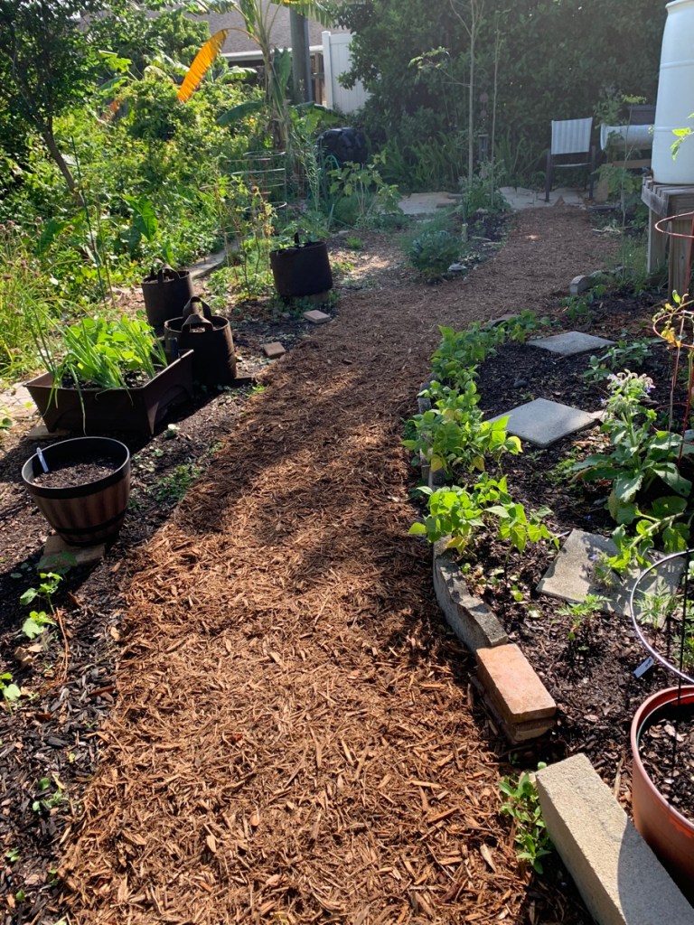 mulch walkway backyard