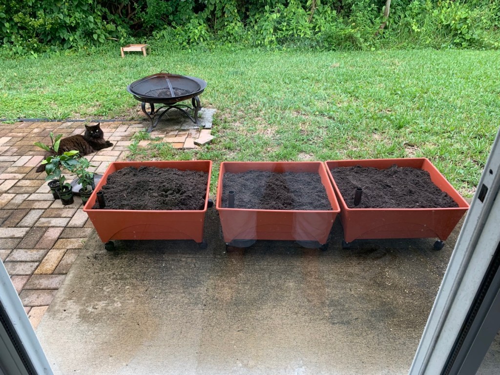 garden in grow boxes