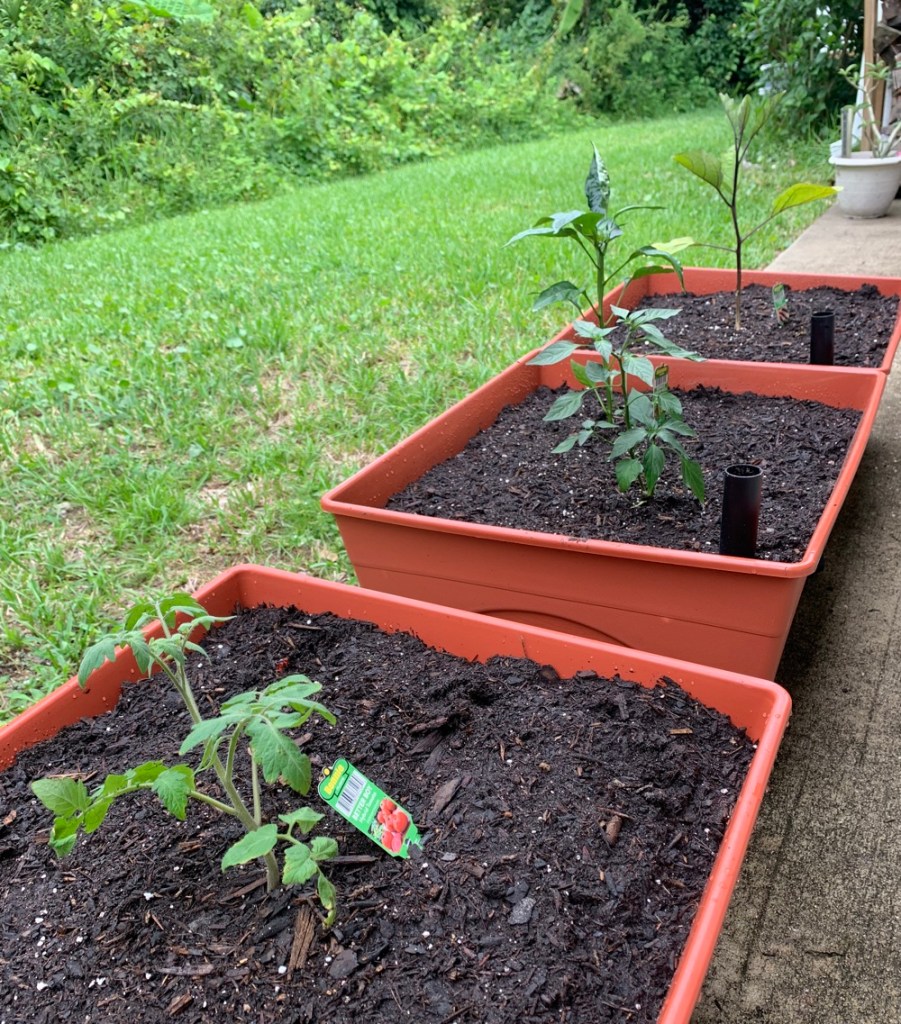 Gardening in grow boxes