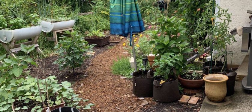 Florida garden header