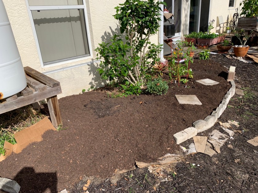 hibiscus garden expansion