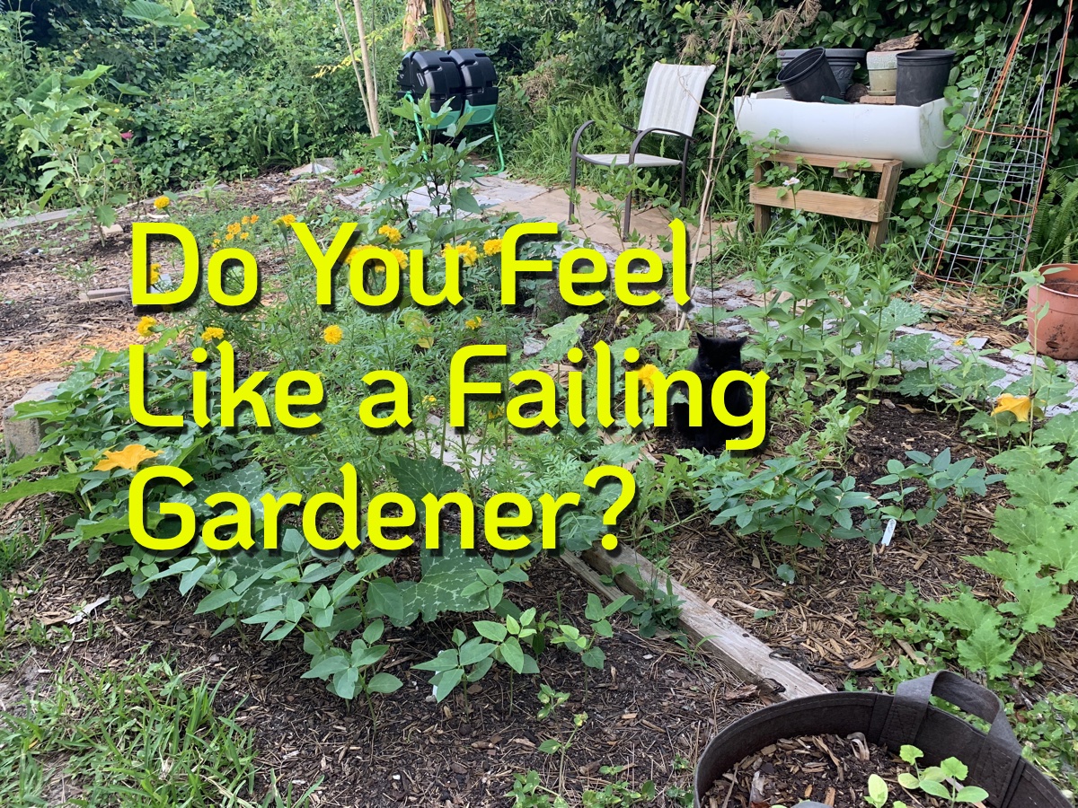 Do You Feel Like a Failing&nbsp;Gardener?