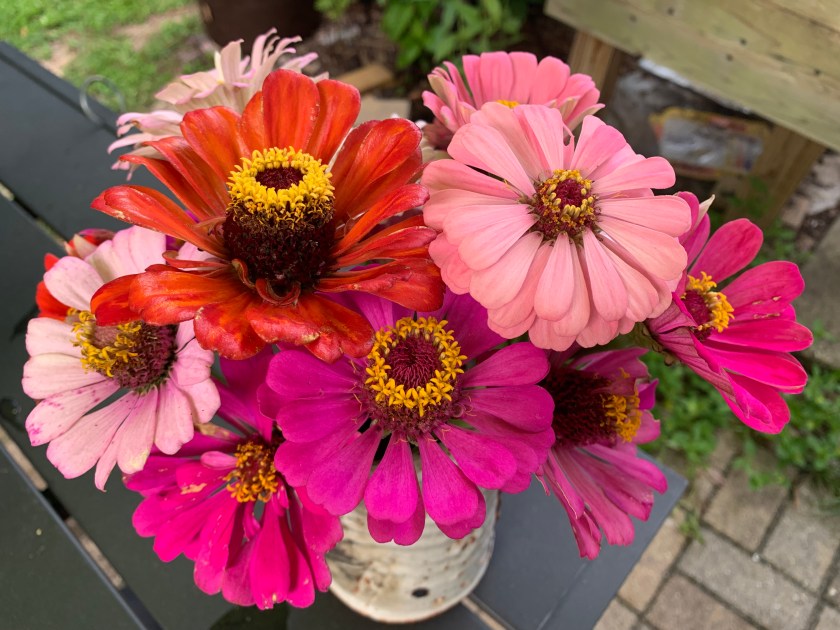 dead zinnia bouquet