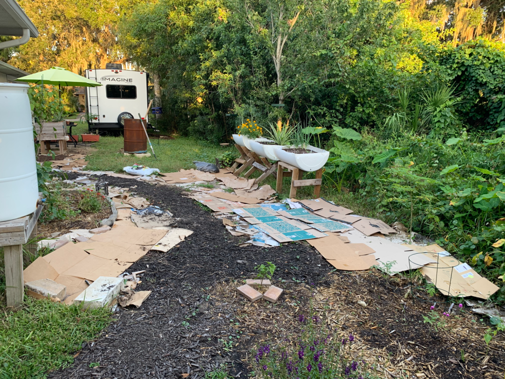 cardboard new garden