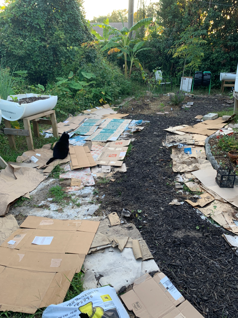 small backyard garden