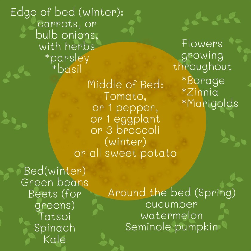 planting ideas for raised round bed