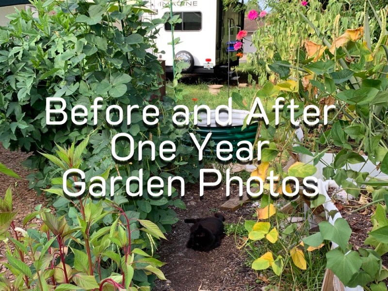 Garden After A&nbsp;Year