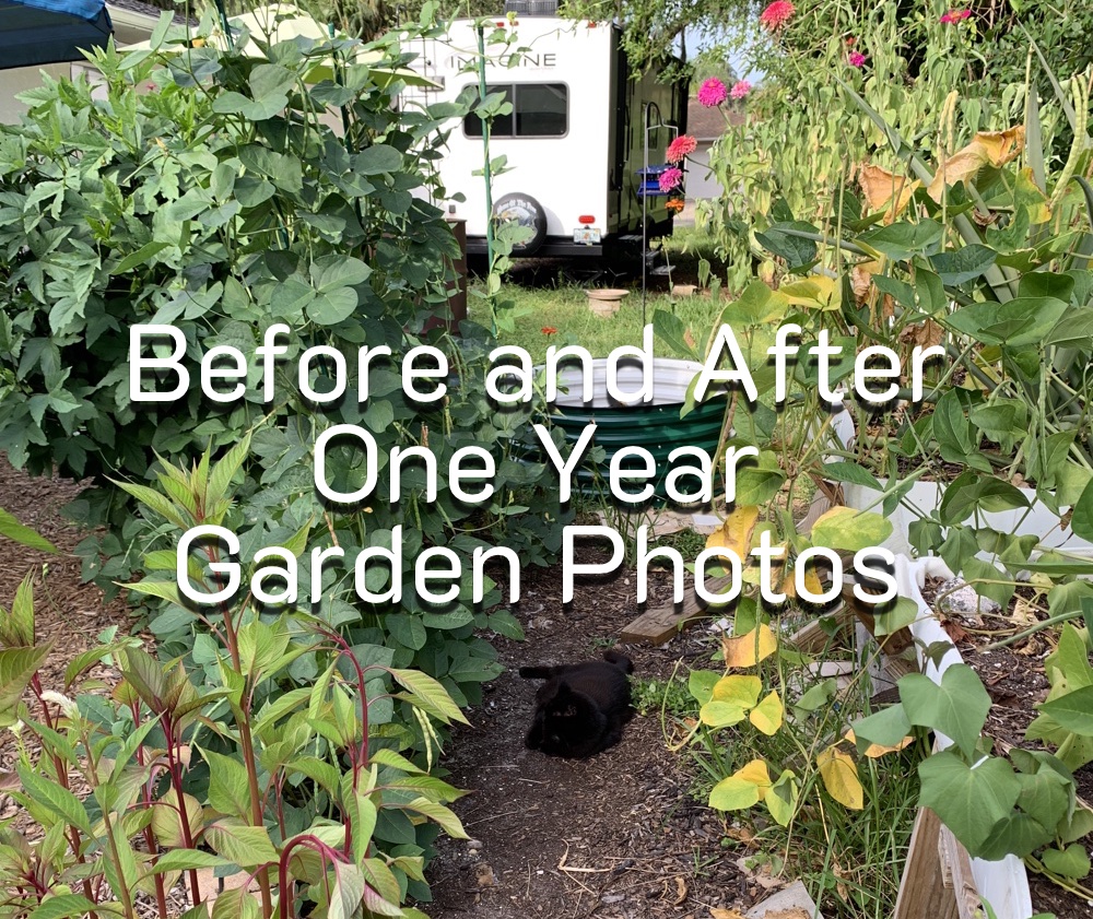 Garden After A&nbsp;Year