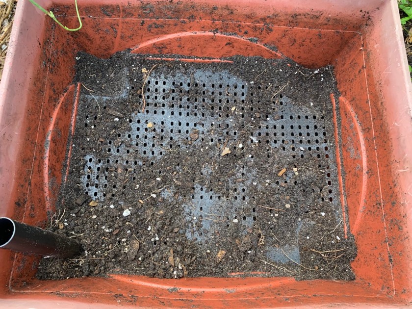 dirt removed from grow box