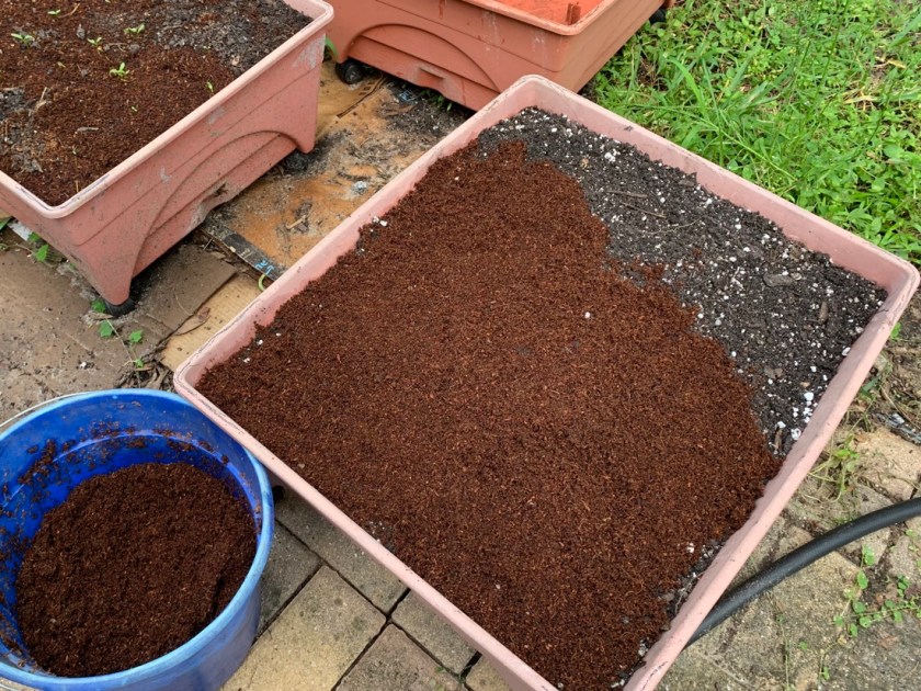 coco coir grow box gardening