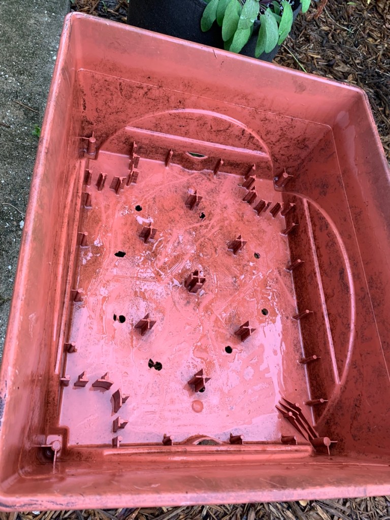 garden grow box empty