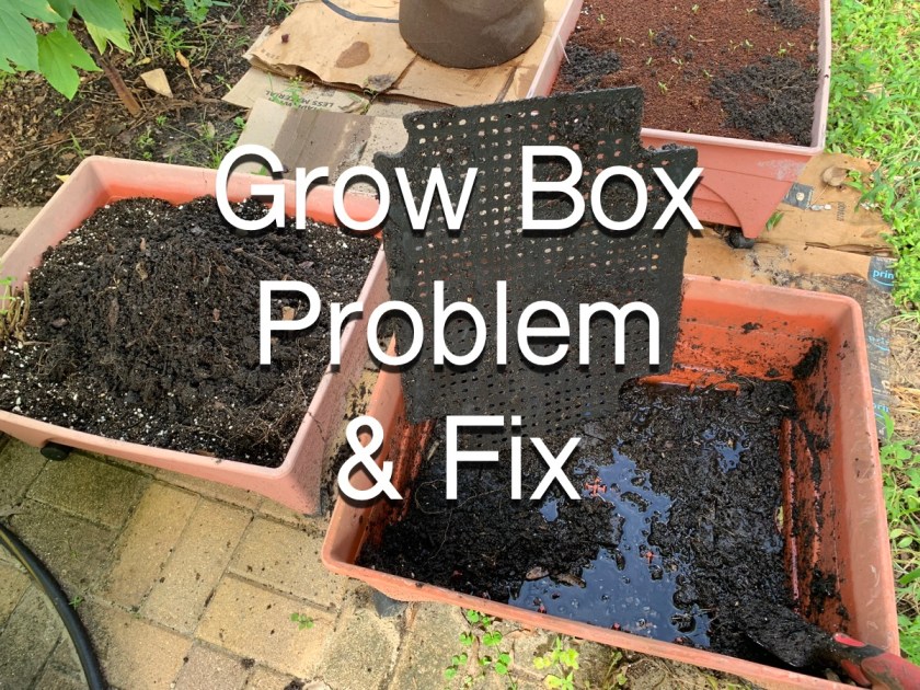 garden grow box problem solved