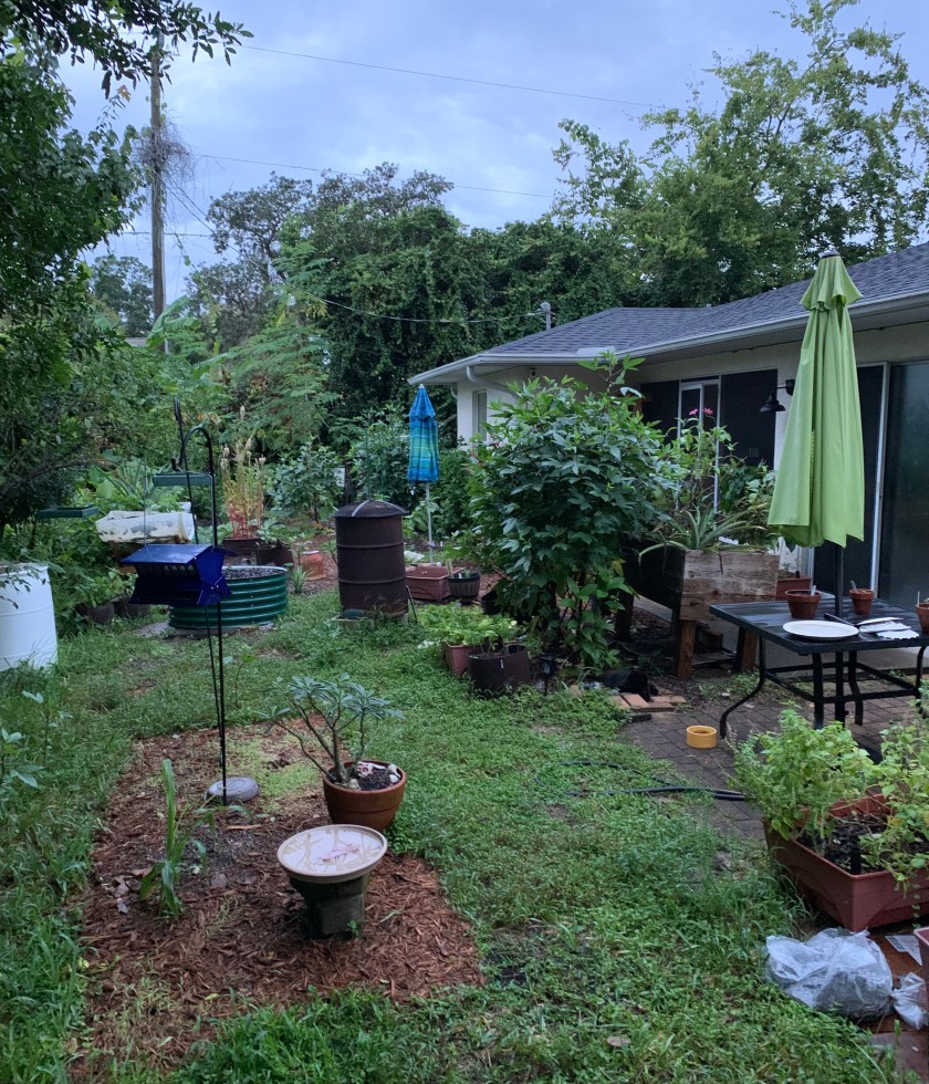 My small garden area