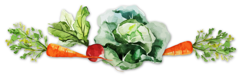 vegetables divider separator