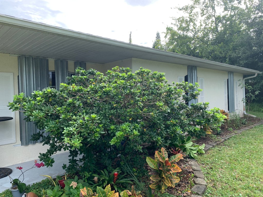 Metal hurricane shutters are on the windows