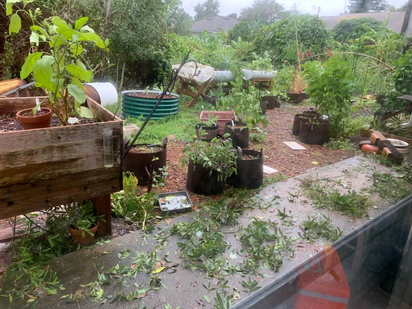 after Hurricane Milton