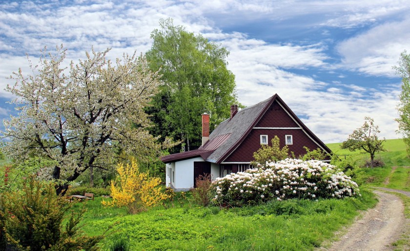 Cottage with flowering bushes and trees