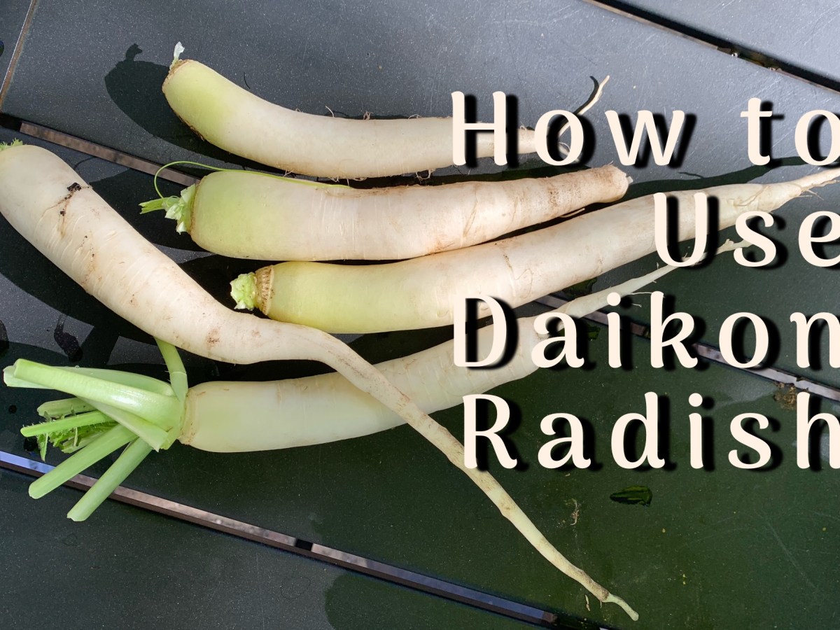 My First Experience With Daikon Radishes: Tips &&nbsp;Recipe