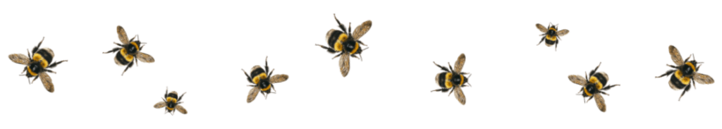 bees