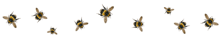 bees