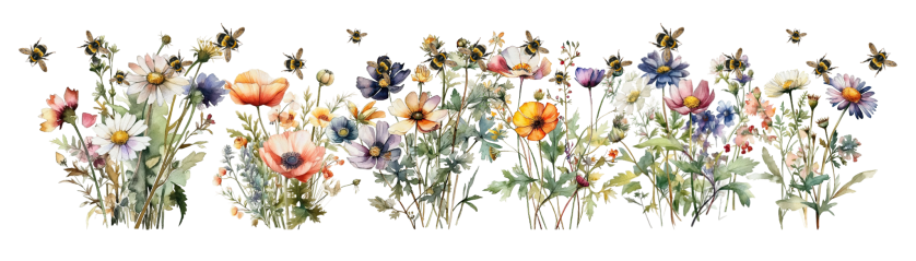 wildflowers and bees divider
