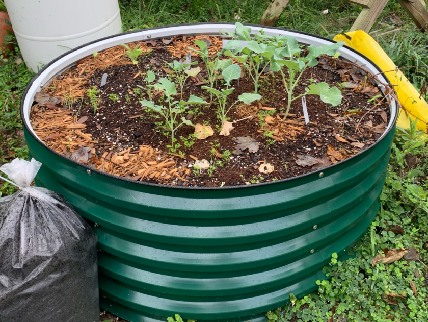 Vegega raised metal garden bed