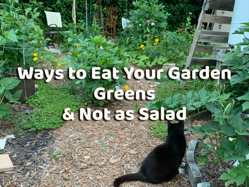Ways to Use Garden Greens and Not as&nbsp;Salad