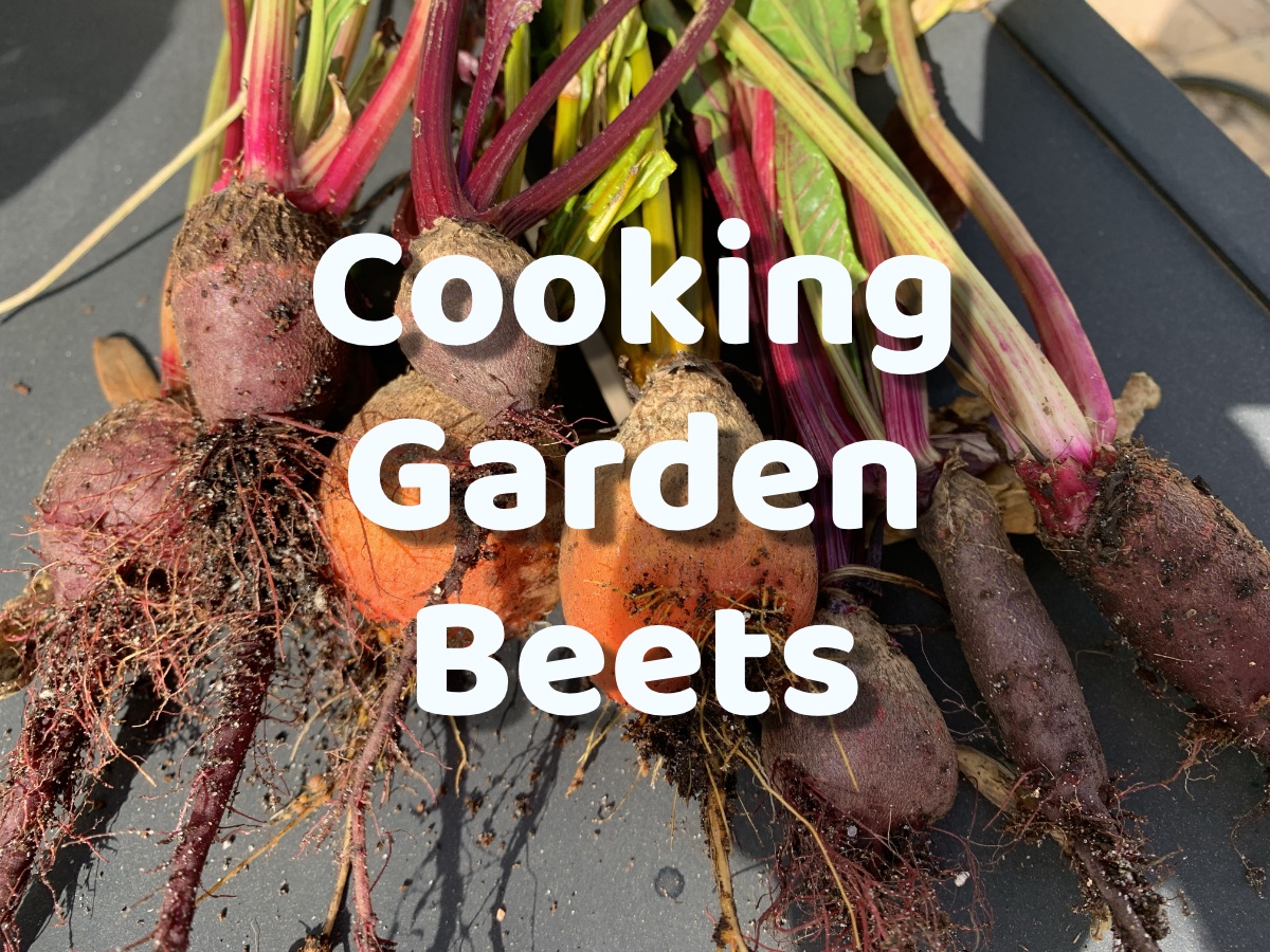 Yay, It’s Time to Cook the Garden&nbsp;Beets!